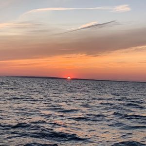 Meet your Posher, Kenneth